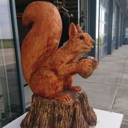Eichhörnchen-Mittel